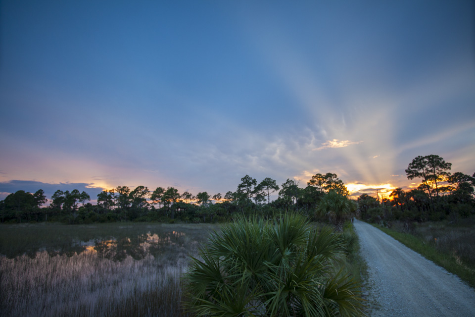 sunset over the river of grass and pine forests near bear island campground